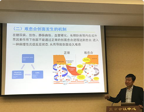 干细胞学术会议,2017年4月中国生物医学工程大会
